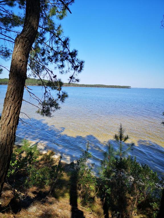 Au Cocon d'Ornon - Top Location Bordeaux - Appartamento Superiore