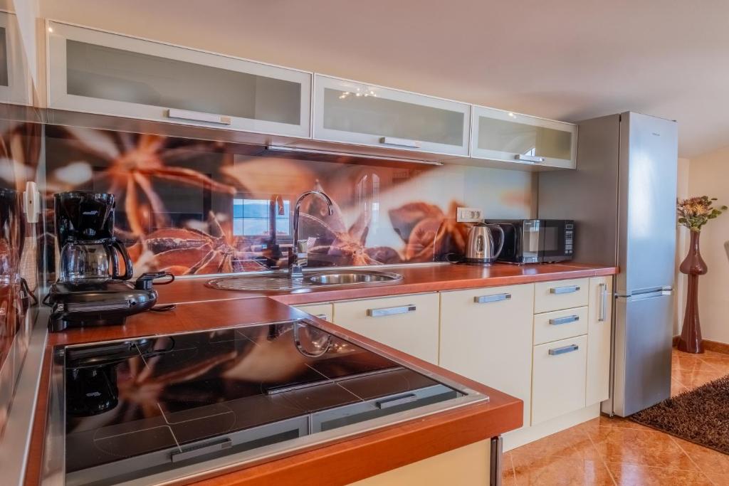 Kuchyň nebo kuchyňský kout v ubytování Apartments Laganini