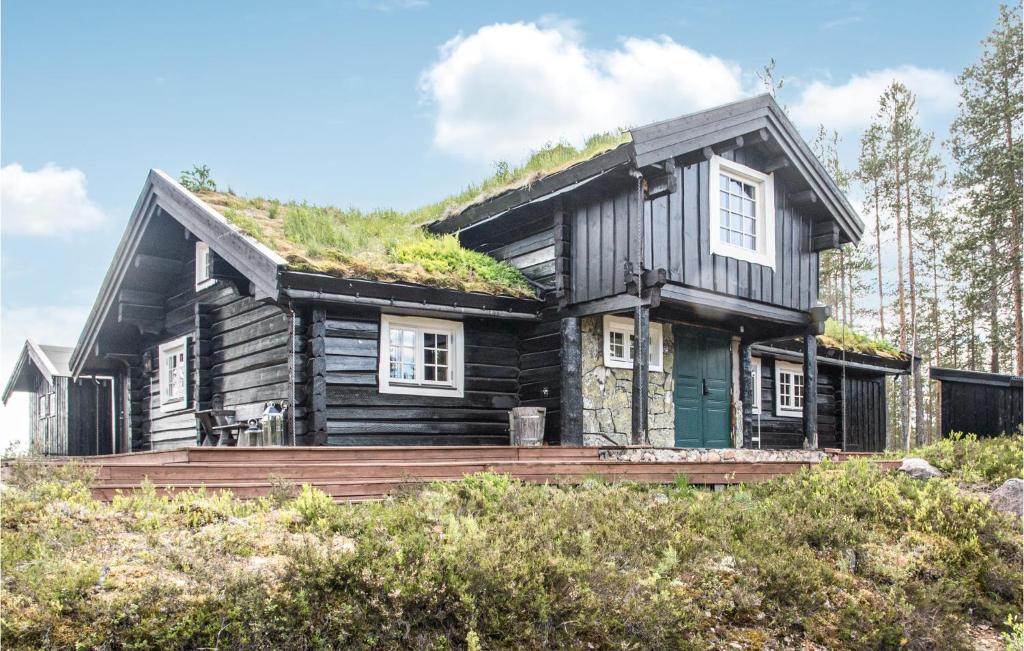 a log cabin with a grass roof at Nice Home In stby With Wifi And 4 Bedrooms in Østby