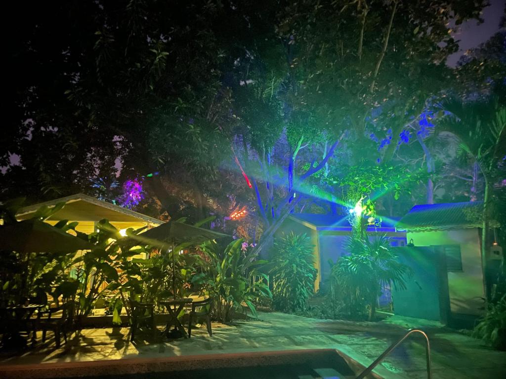 Jardín al aire libre en Bak A Yaad