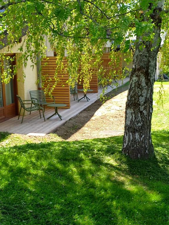 a bench and a tree in a yard at Logis Le Vernay in Autrans