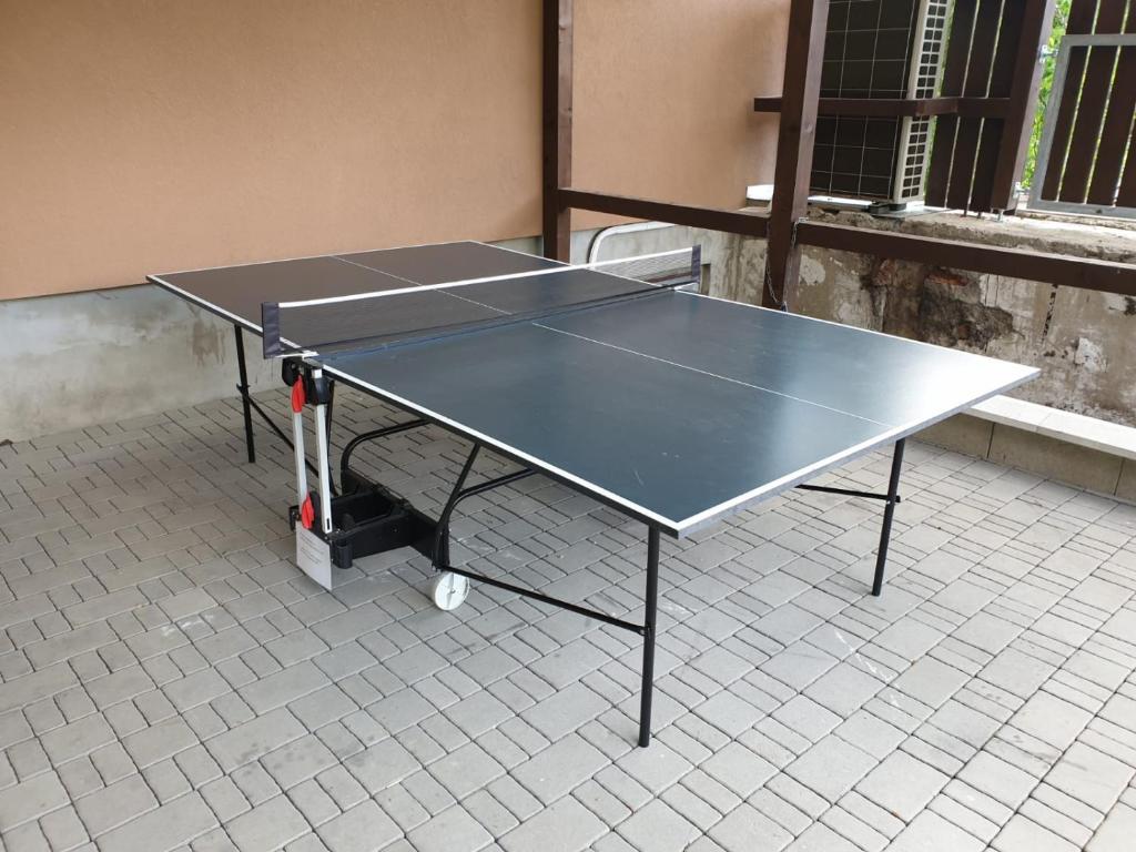 Stolní tenis v ubytování Lipno & Wellness Chata nebo okolí
