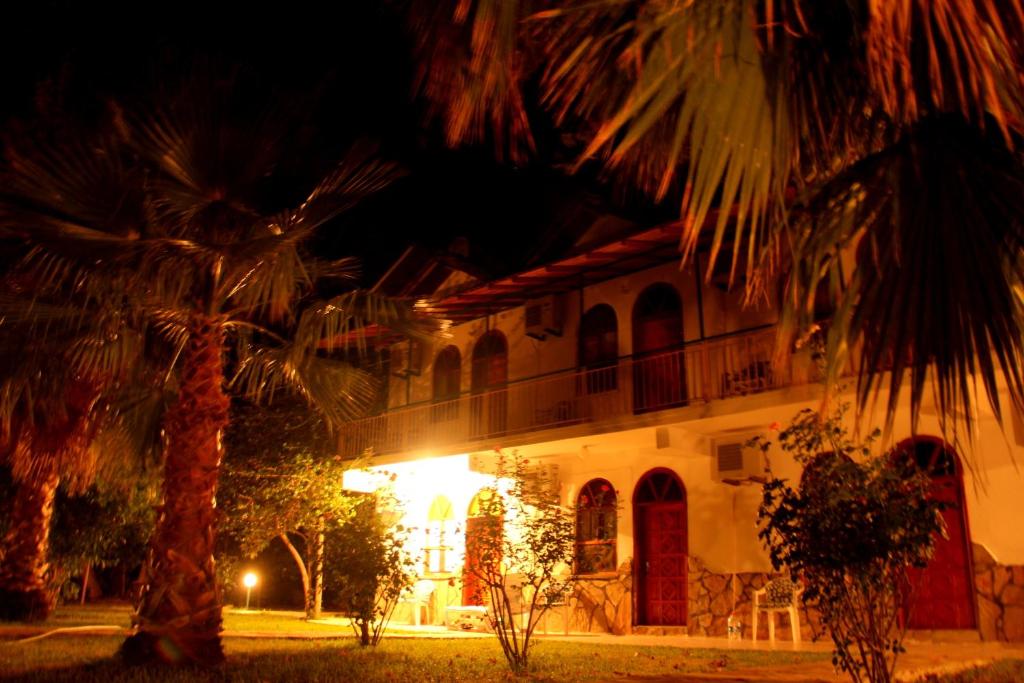 a building with a palm tree in front of it at Olympos Yavuz Hotel in Cıralı