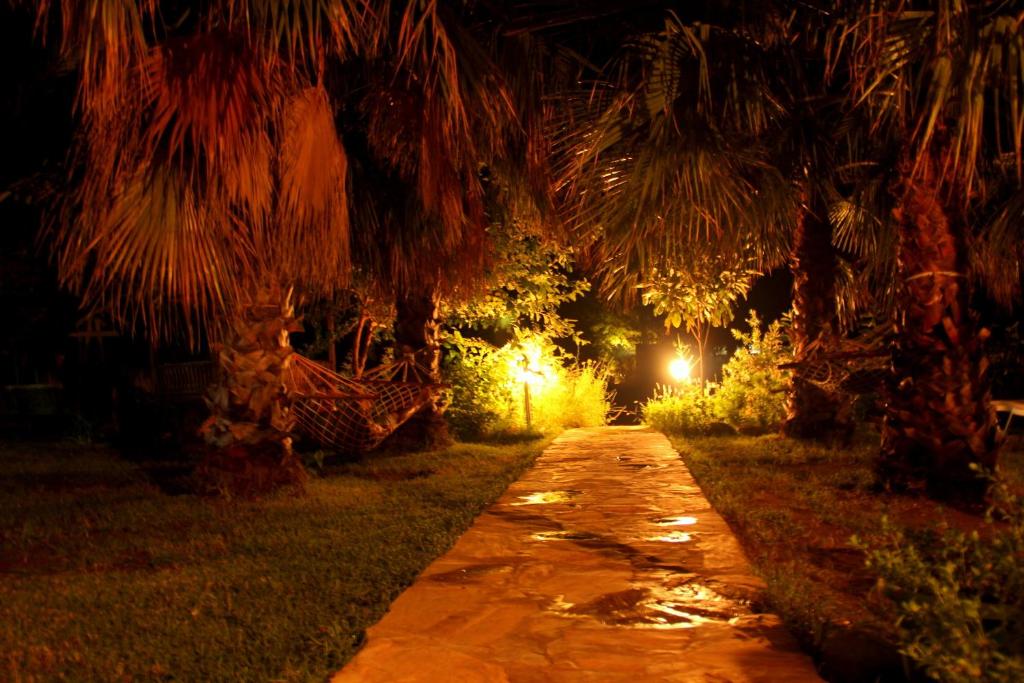 a palm tree lined path at night with lights at Olympos Yavuz Hotel in Cıralı