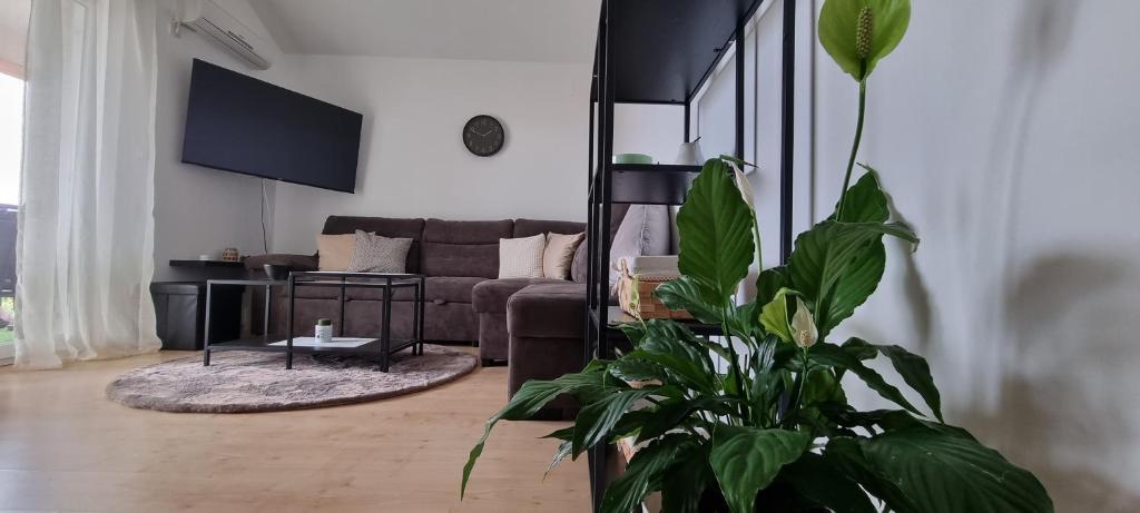 ein Wohnzimmer mit einem Sofa und einer Pflanze in der Unterkunft Apartman sa pogledom na more u Linardicima in Linardići