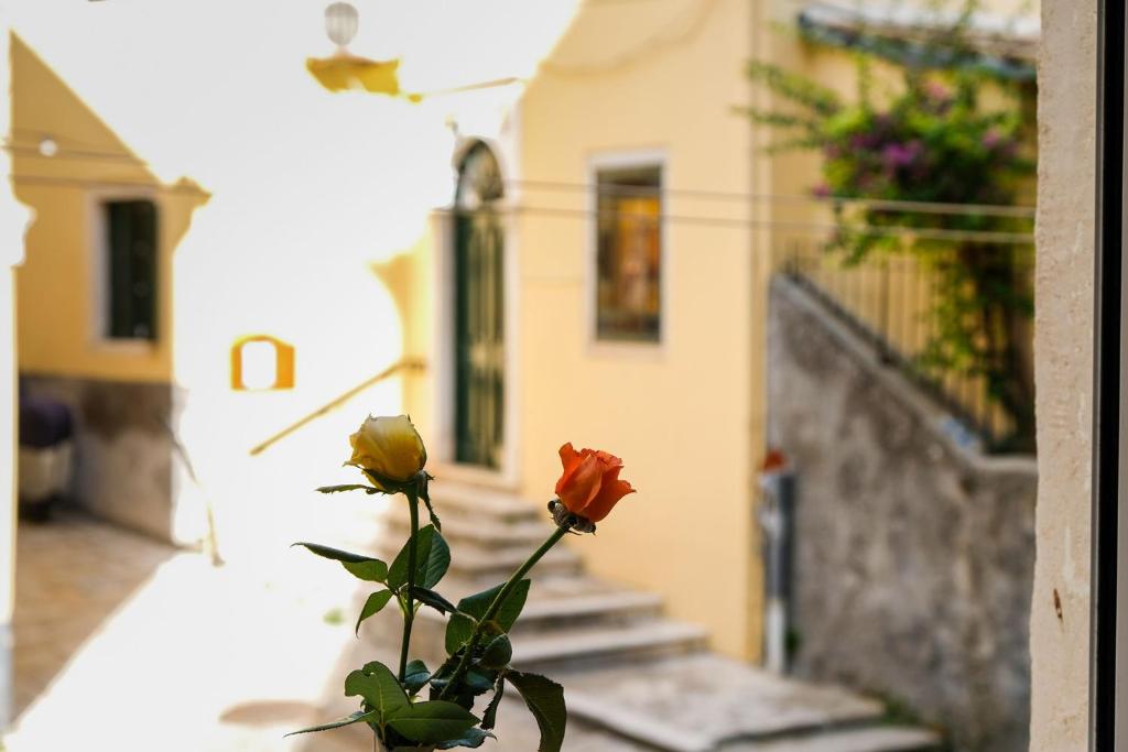 Vonkajšia záhrada v ubytovaní Campiello Luxury Suite