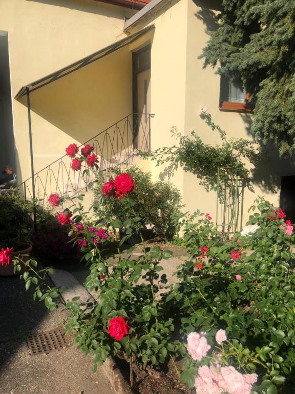 Vonkajšia záhrada v ubytovaní Das kleine Haus