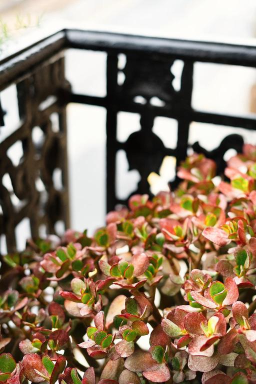 Hotel Okako San Sebastian - 8