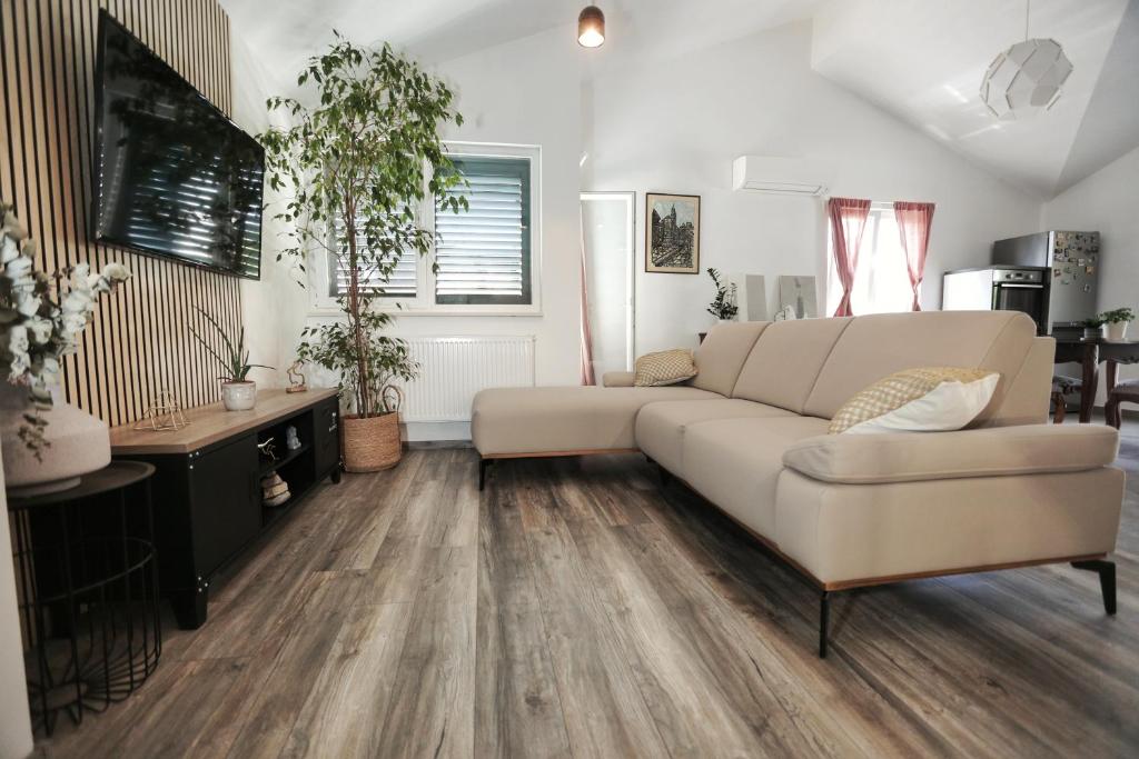 TV a/nebo společenská místnost v ubytování Apartment Tugare