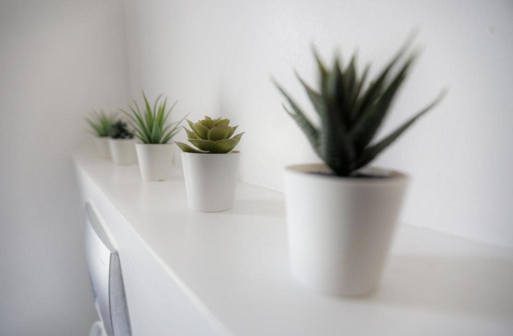 Fotografie z fotogalerie ubytování Apartment Tugare v destinaci Tugare