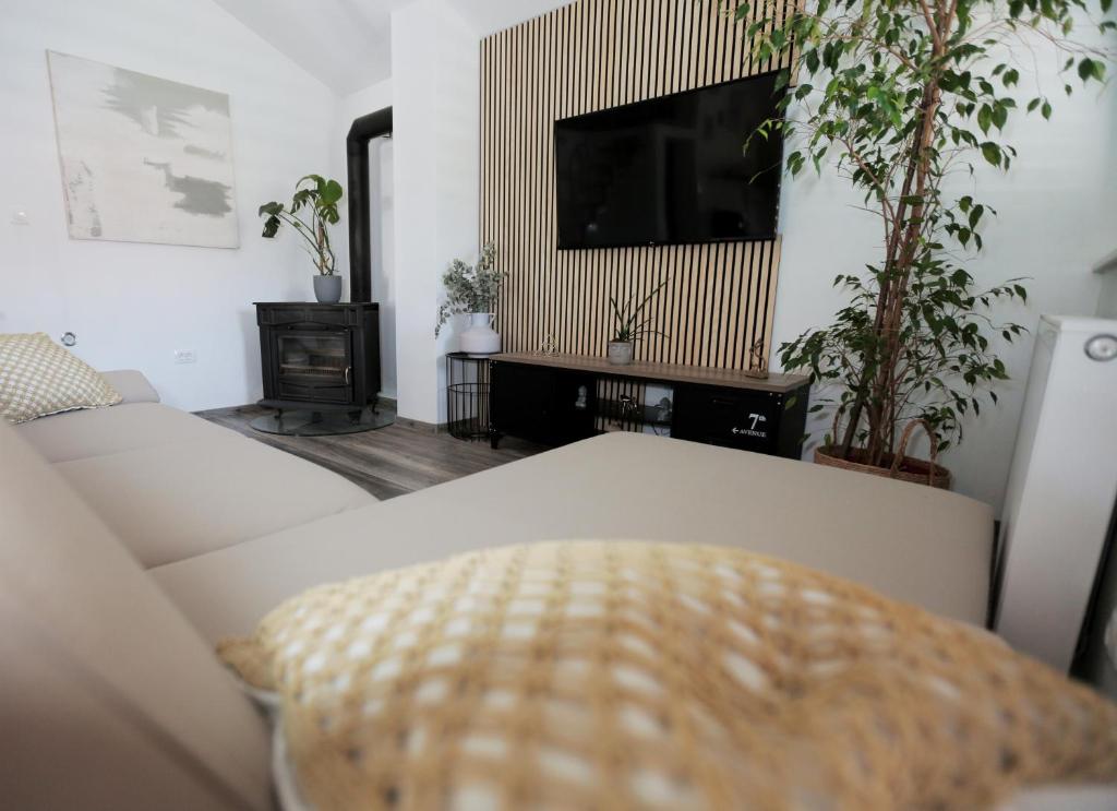 TV a/nebo společenská místnost v ubytování Apartment Tugare