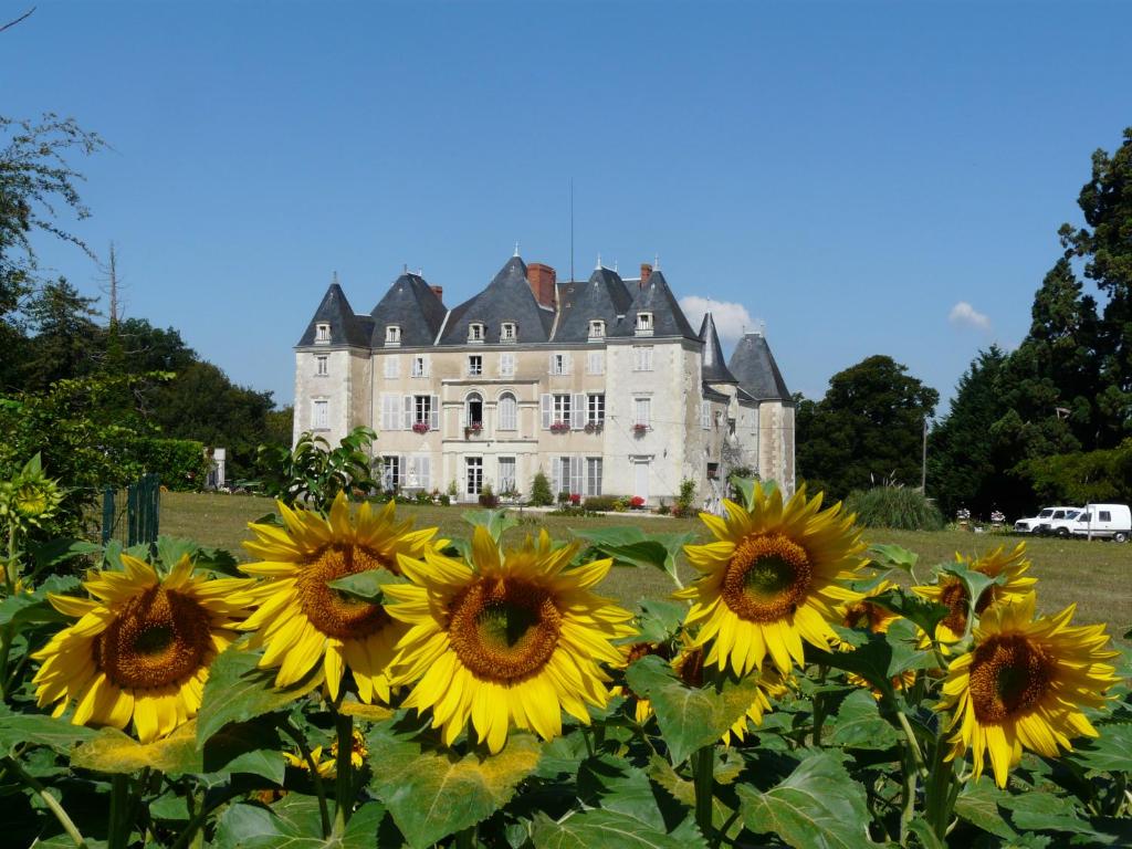 Сад в Château de Piolant