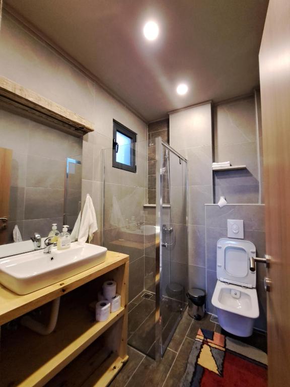 a bathroom with a sink and a shower and a toilet at Vista Cottage 2 in Ulcinj