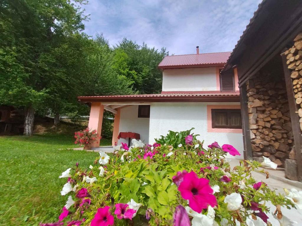 Trnovac