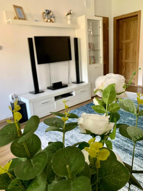 TV o dispositivi per l'intrattenimento presso Small Lake Apartman
