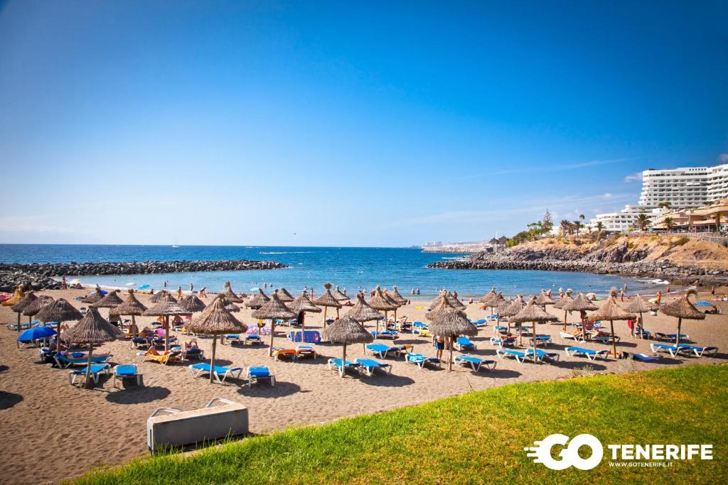 Táj Show holiday homes közelében