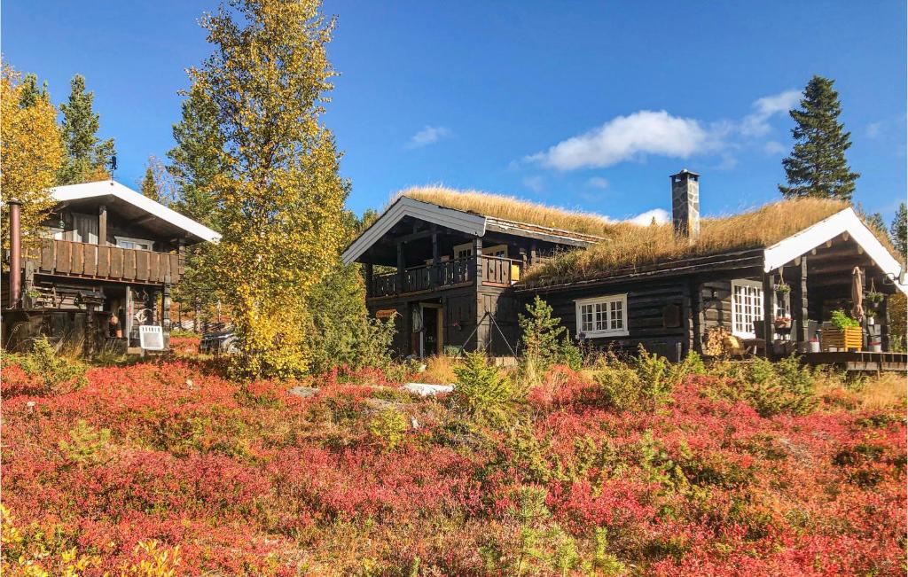 a house with a grass roof and a field of flowers at Nice Home In Vinstra With Kitchen in Vinstra