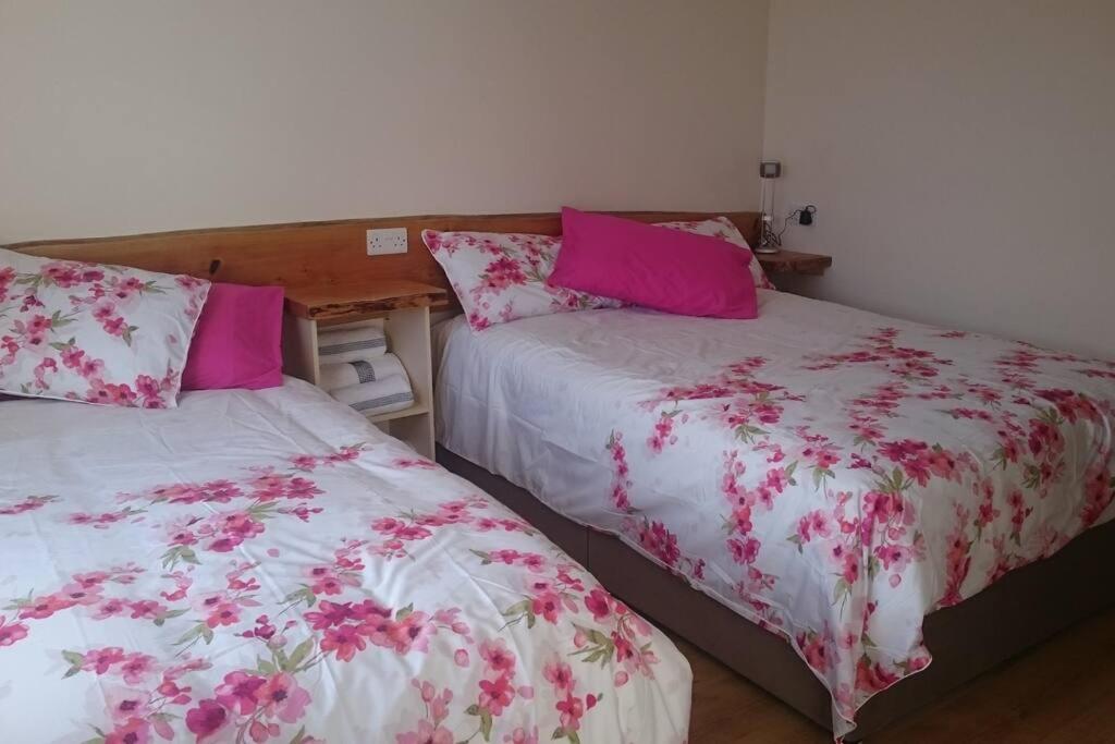 two beds sitting next to each other in a bedroom at Skellig View Bluebell Rose & The Kerry Cliffs in Portmagee