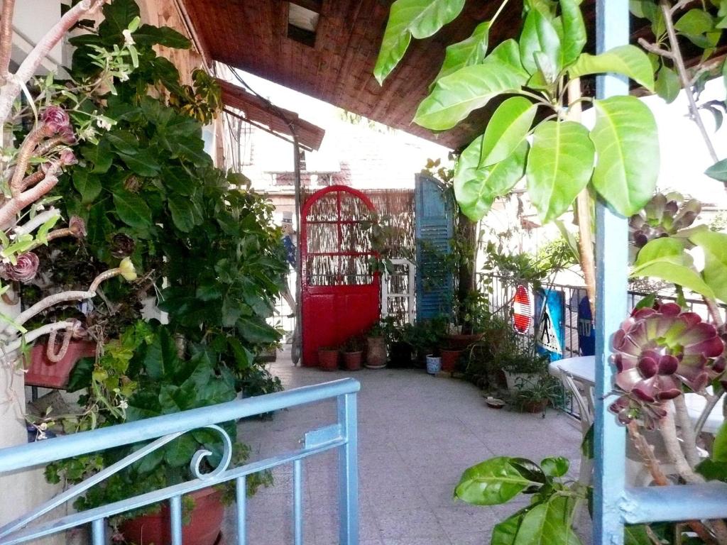 a greenhouse filled with lots of plants and a blue railing at Diana's B&B in Jerusalem