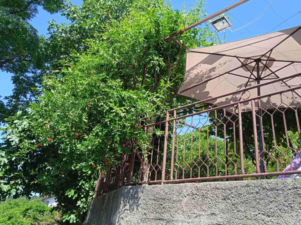 Zahrada ubytování Oaza Kumbor