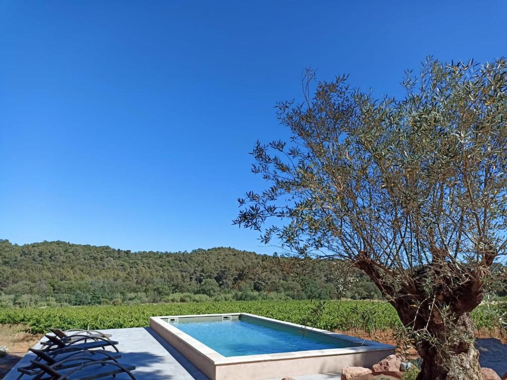 a swimming pool next to a tree in a field at Sous Les Pins gîtes et chambres d'hôtes in La Londe-les-Maures