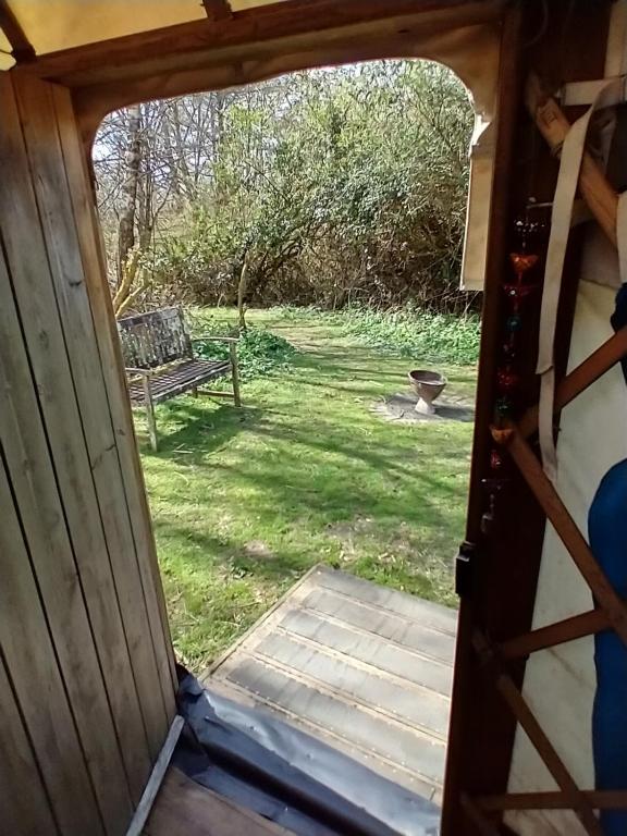 South Downs Eco Lodge & Camping - 帐篷