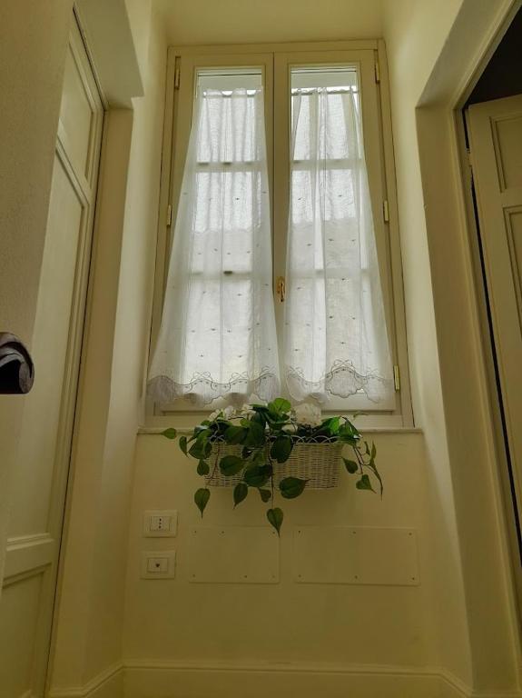 Zdjęcie z galerii obiektu B&B Villino Luschi Pisa Centro w Pizie