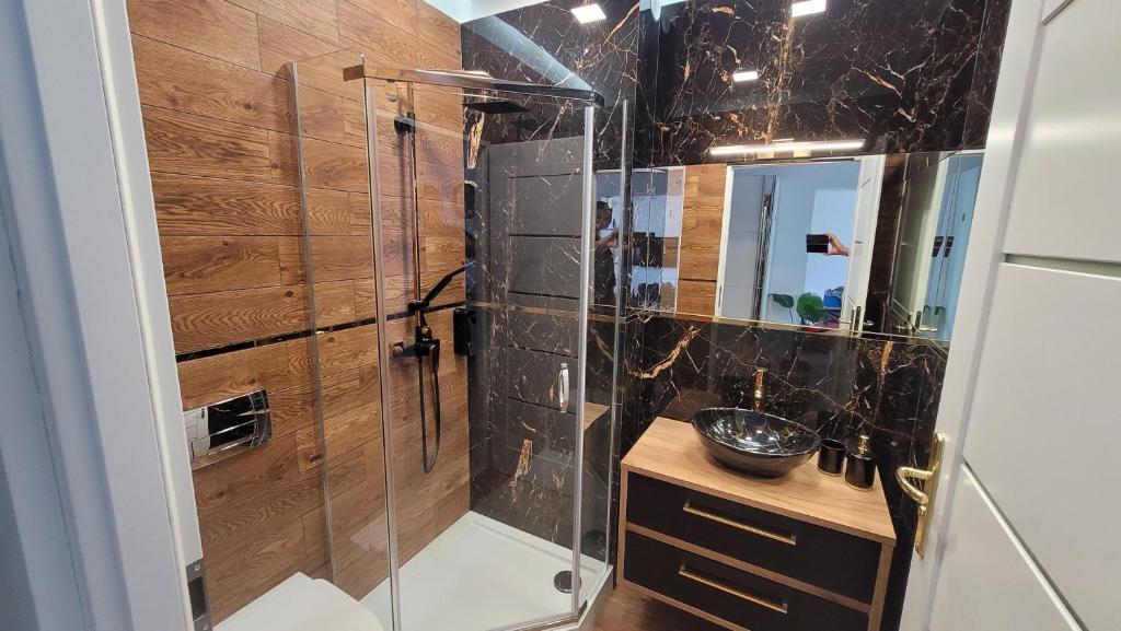 a bathroom with a shower with a glass door at Good Day Apartment 2 centrum Katowice in Katowice