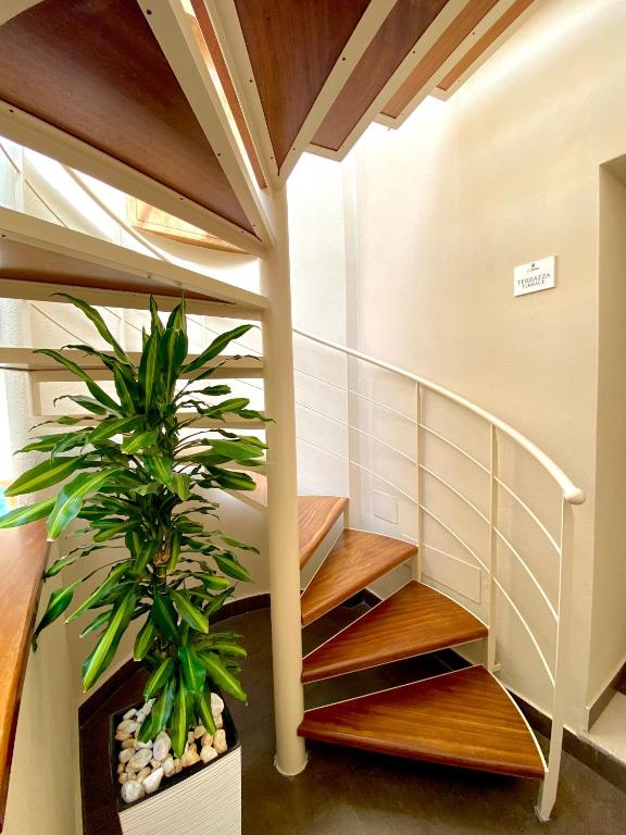 Fotografia z galérie ubytovania Residenza il Barone v Tropei