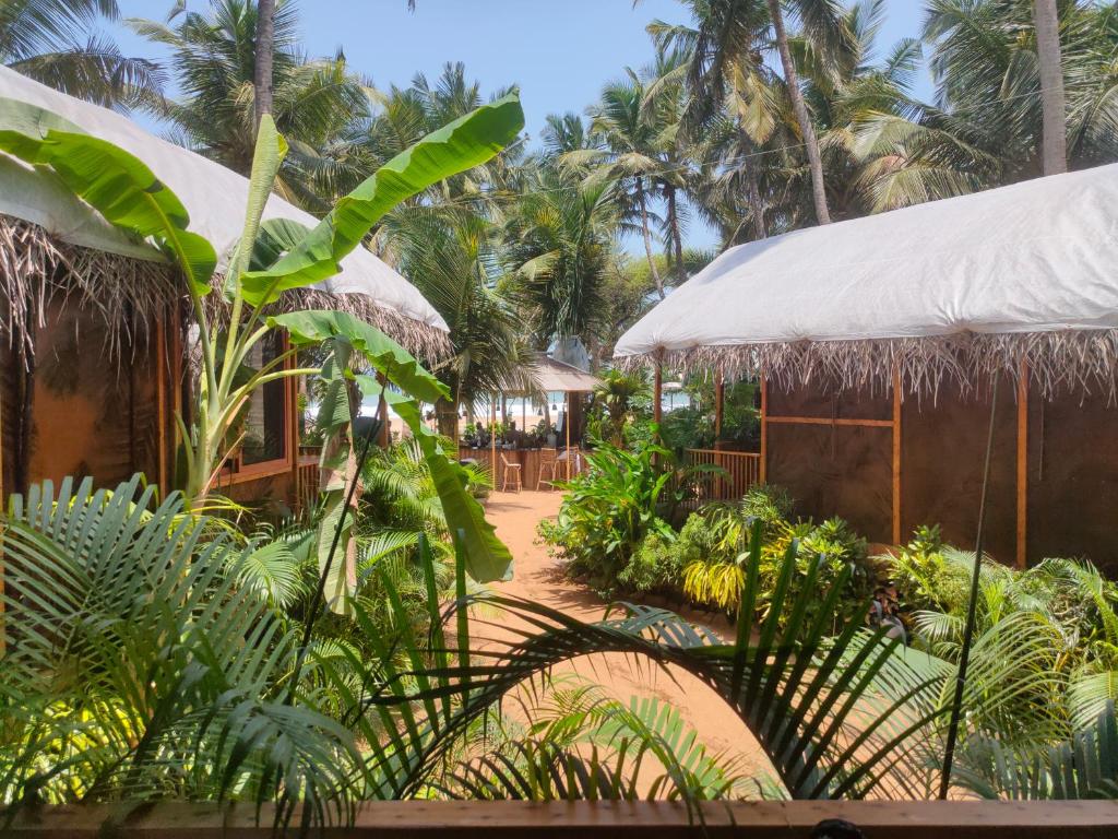 Сад в Goa Cottages Agonda
