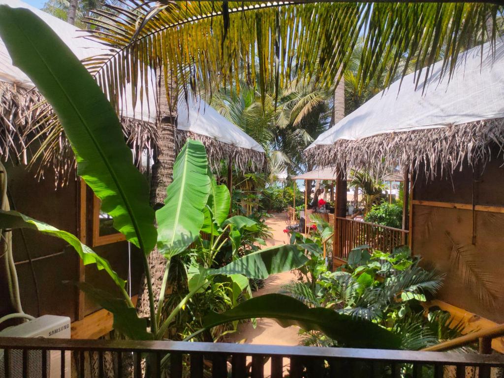 Сад в Goa Cottages Agonda