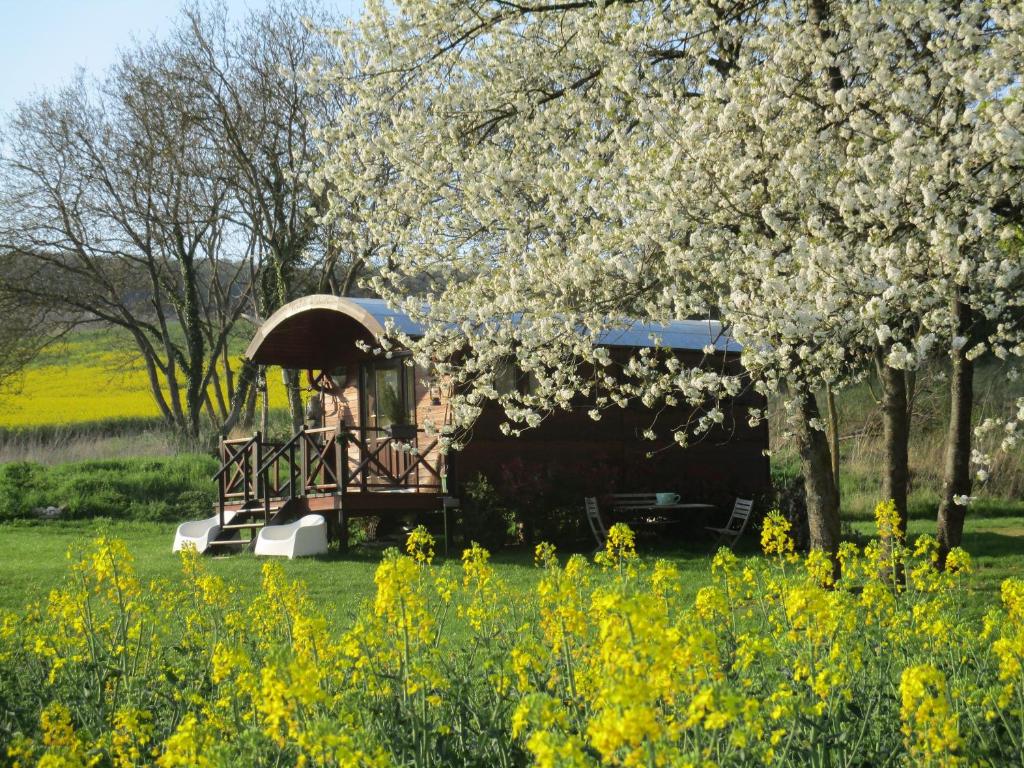 a train in a field with trees and flowers at Roulotte panoramique du Moulin in Châtillon-sur-Marne
