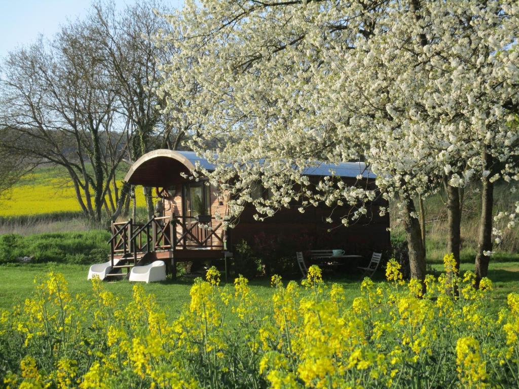 Châtillon-sur-MarneにあるRoulotte panoramique du Moulinの木の花畑の列車