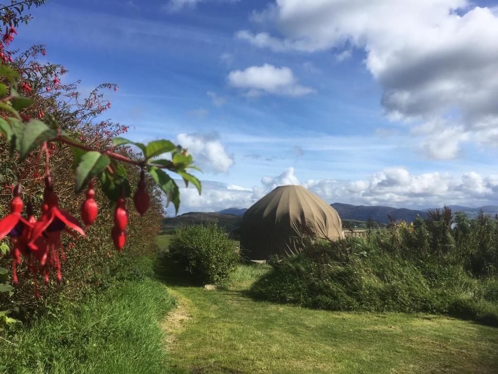 a yurt in the middle of a field with red flowers at Portsalon Luxury Camping in Portsalon