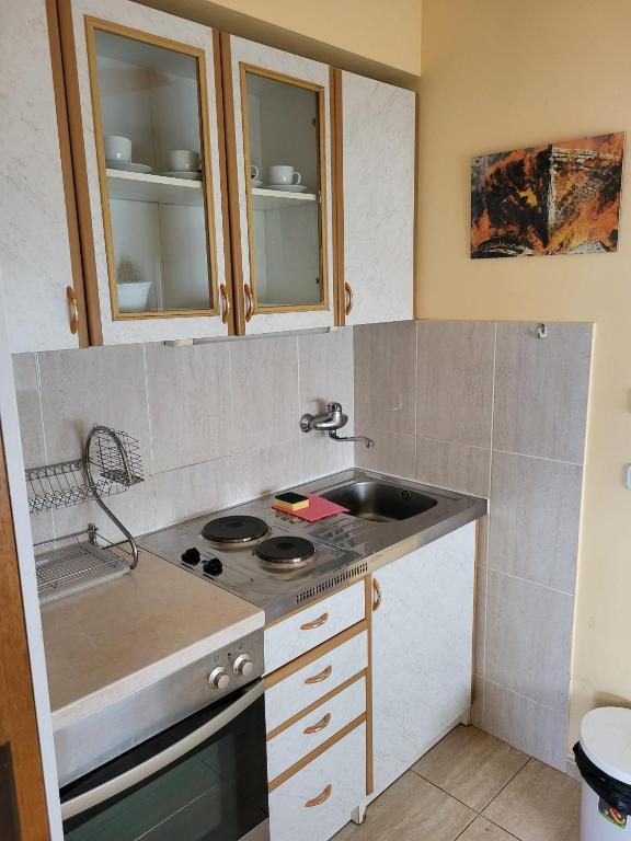Kuchyň nebo kuchyňský kout v ubytování Apartman Ivan