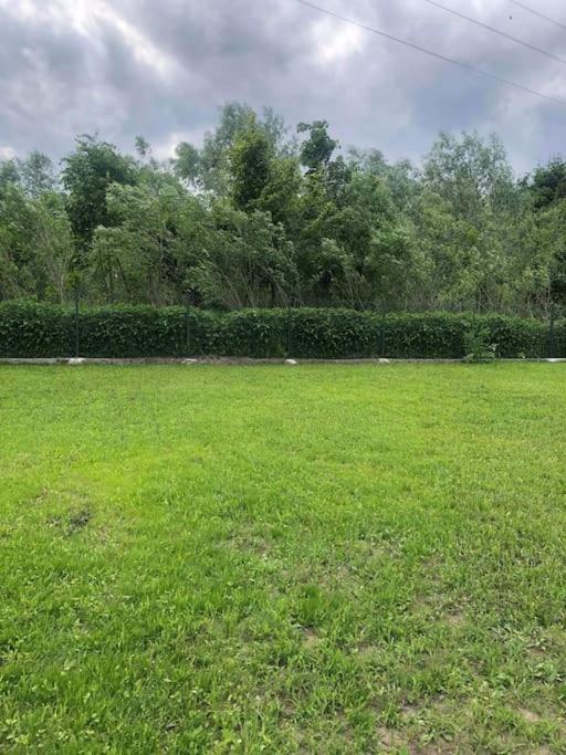 Vonkajšia záhrada v ubytovaní Domek Anuszka