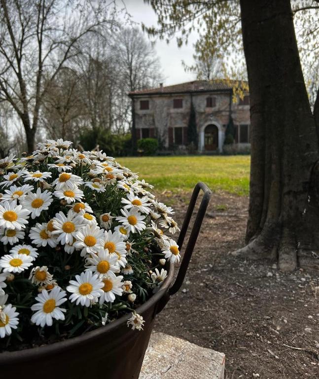 A garden outside Agriturismo Corte San Girolamo