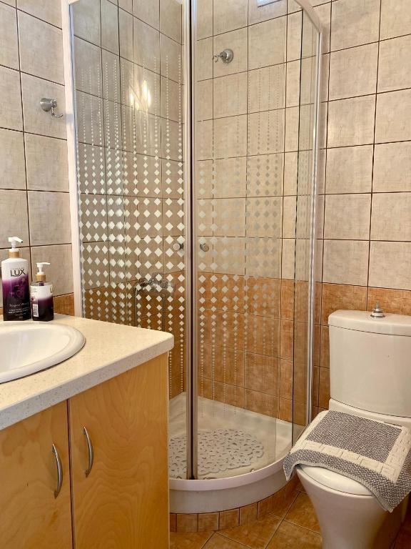 W łazience znajduje się prysznic, toaleta i umywalka. w obiekcie Villa Red Beach - Matala Love w mieście Matala