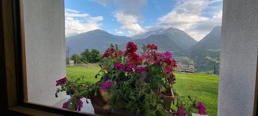 Widok na góry z tego obiektu B&B