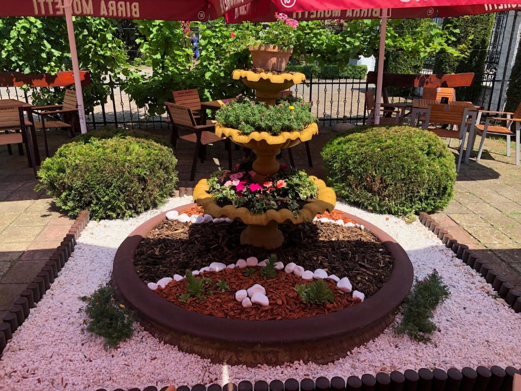 Pensiunea Viena - Resim 20