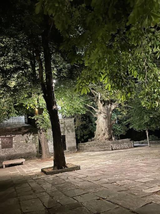 Fotografie z fotogalerie ubytování Mr Apostolos Guesthouse v destinaci Kissós