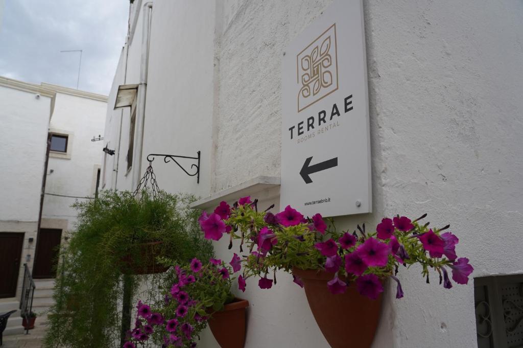 Certifikát, hodnocení, plakát nebo jiný dokument vystavený v ubytování Terrae Rooms Rental