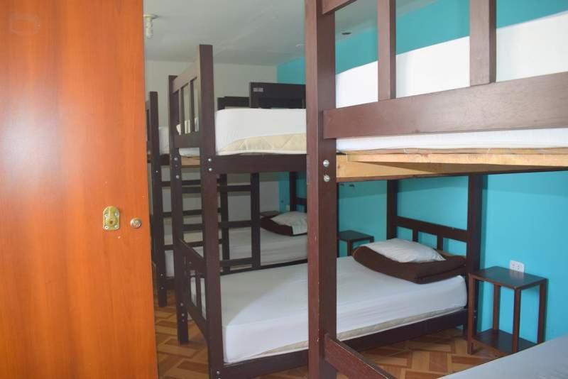 Postel nebo postele na pokoji v ubytování Mango Hostel B&B