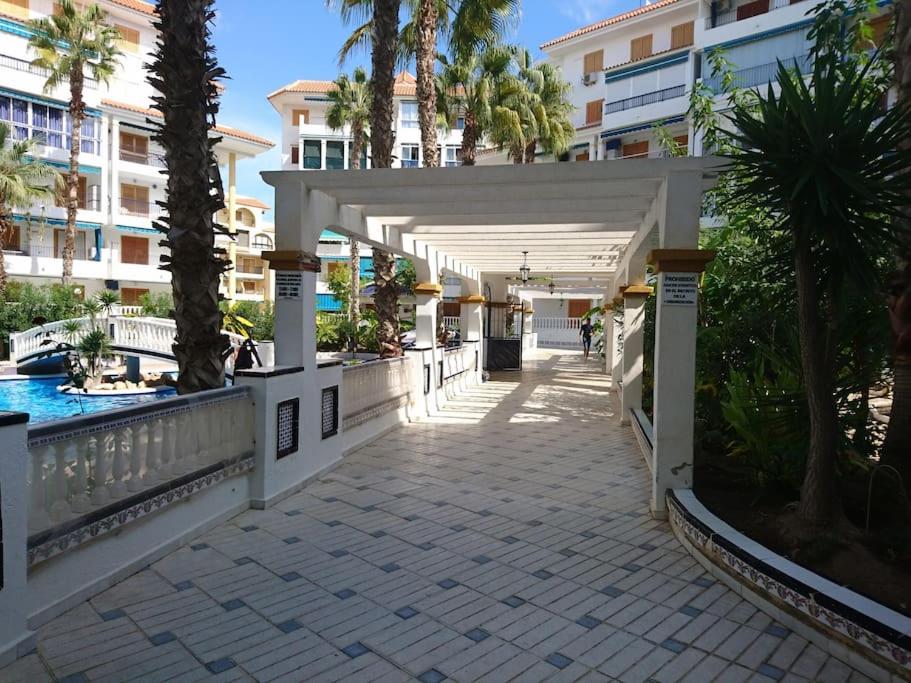Bazén v ubytovaní Apartment near La Mata beach alebo v jeho blízkosti