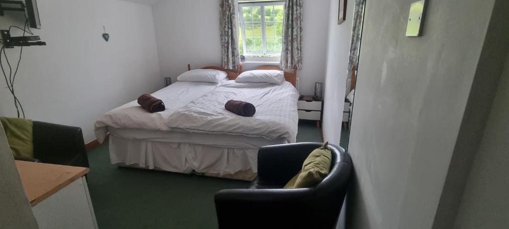 Dinas Castle Inn (The Dragons Back) - Habitación Gemela