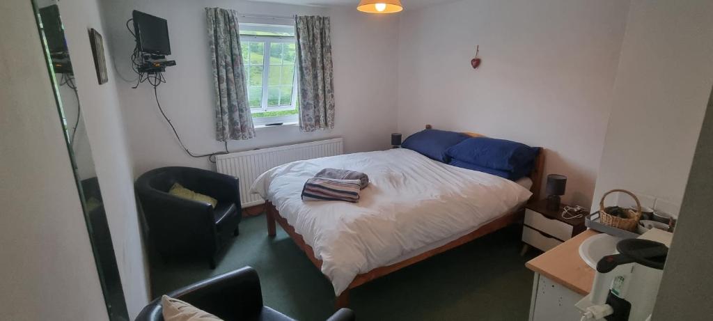 Dinas Castle Inn (The Dragons Back) - Habitación Doble