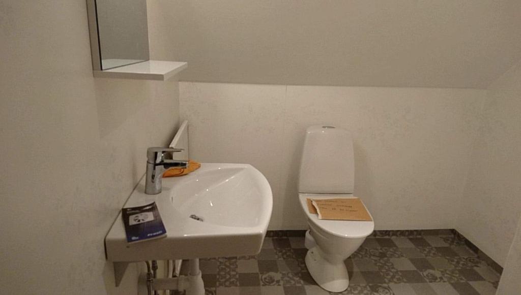 een kleine badkamer met een wastafel en een toilet bij Mysig villa i naturen in Glimåkra