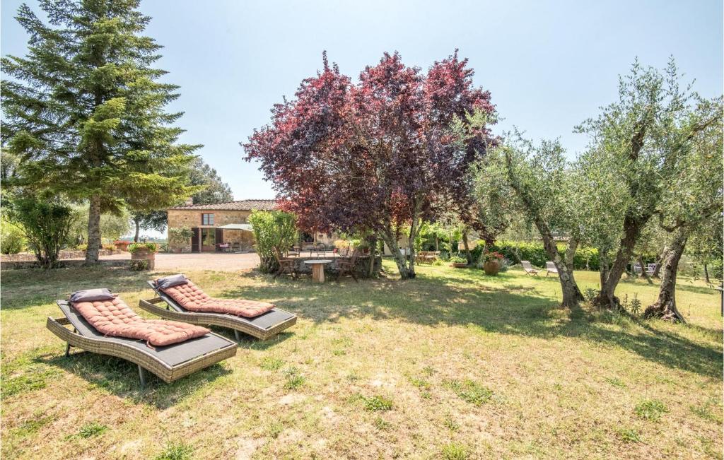 twee ligstoelen in een tuin met bomen bij Nice Home In Siena With Kitchen in Siena