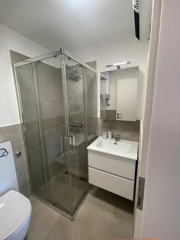 W łazience znajduje się prysznic, umywalka i toaleta. w obiekcie Enna Apartment B Meerblick perfect location w Medulinie