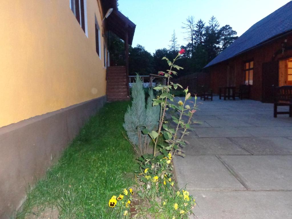 a plant with yellow flowers growing next to a building at Pensiunea Radu in Cisnădie